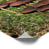 Wilde bruine paddenstoelencluster Natuur Poster (Hoek)