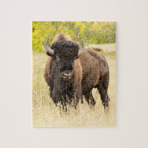 Wilde Buffalo in een veld Legpuzzel