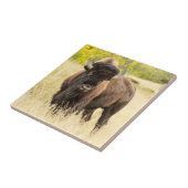 Wilde Buffalo in een veld Tegeltje (Zijkant)