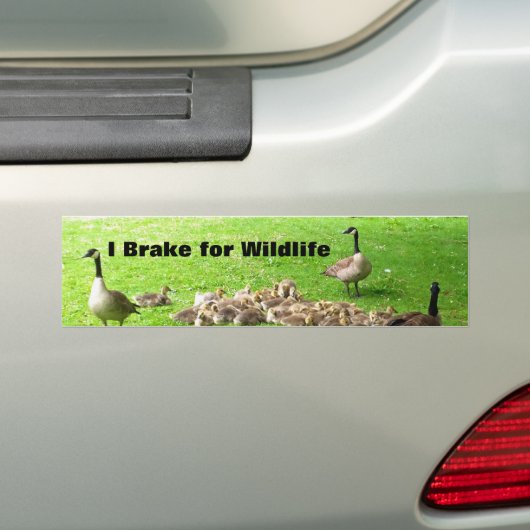Wilde Bumpersticker (Op auto)