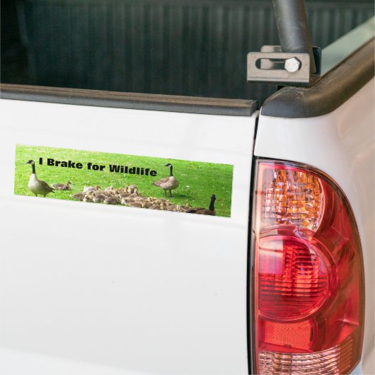 Wilde Bumpersticker (Op Truck)