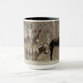 Wilde burros, ezels, wilde dieren, mokken (Midden)