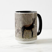 Wilde burros, ezels, wilde dieren, mokken (Voorkant rechts)