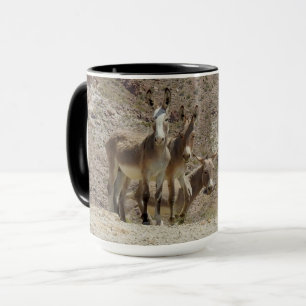 Wilde burros, ezels, wilde dieren, mokken
