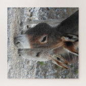 Wilde burros, ezels, wilde dieren, puzzel (Horizontaal)