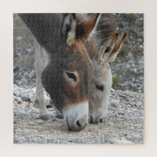 Wilde burros, ezels, wilde dieren, puzzel