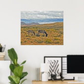 Wilde Burros of Red Rock Canyon Poster (Thuiskantoor)