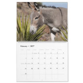 Wilde Burros van de Zwarte Bergen Kalender (Feb 2027)