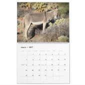 Wilde Burros van de Zwarte Bergen Kalender (Mar 2027)