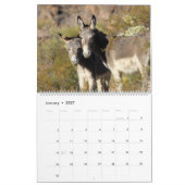 Wilde Burros van de Zwarte Bergen Kalender (Jan 2027)
