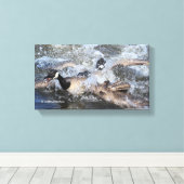 Wilde (Canada) Goose Chase: De spat bij Piper Spit Canvas Afdruk (Insitu (Houten vloer))