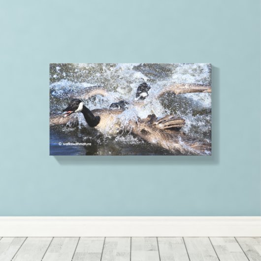 Wilde (Canada) Goose Chase: De spat bij Piper Spit Canvas Afdruk (Insitu (Houten vloer))