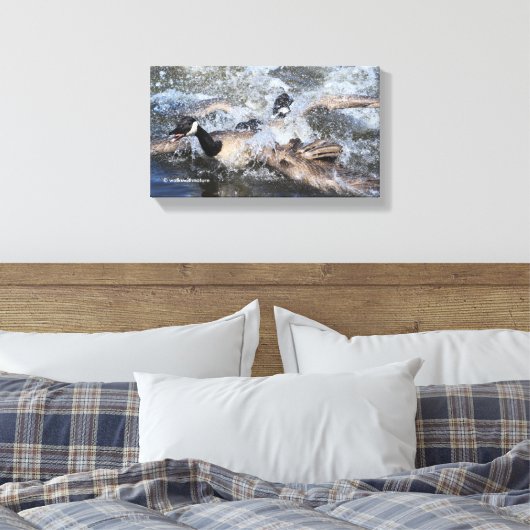 Wilde (Canada) Goose Chase: De spat bij Piper Spit Canvas Afdruk (Insitu (Slaapkamer))