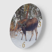 Wilde Canadese eland in de winter Sneeuw V Grote Klok (Hoek)