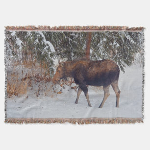 Wilde Canadese gans in Winter Snow IV Deken