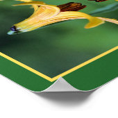 Wilde Canadese lelie en insectenspiegel Abstract Poster (Hoek)