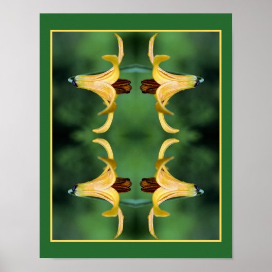 Wilde Canadese lelie en insectenspiegel Abstract Poster (Voorkant)