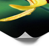 Wilde Canadese lelie met vuurvlieginsect Poster (Hoek)