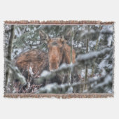 Wilde Canadese Moose in Winter Forest Deken (Voorkant)