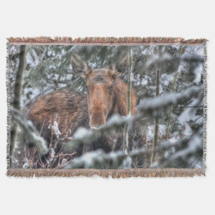 Wilde Canadese Moose in Winter Forest Deken