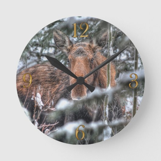 Wilde Canadese Moose in Winter Forest Ronde Klok (Voorkant)