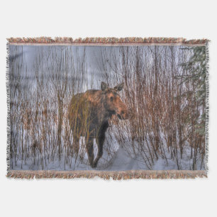 Wilde Canadese Moose in Winter Snow I Deken