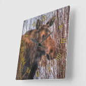 Wilde Canadese Moose in Winter Snow I Vierkante Klok (Hoek)