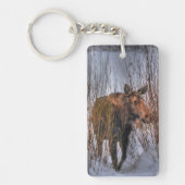 Wilde Canadese Moose Koe in Winter Snow I Sleutelhanger (Voorkant)