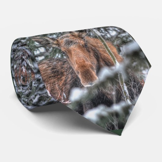 Wilde Canadese Moose Koe in Winter Snow Stropdas (Opgerold)