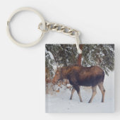 Wilde Canadese Moose Koe in Winter Snow V Sleutelhanger (voorkant)