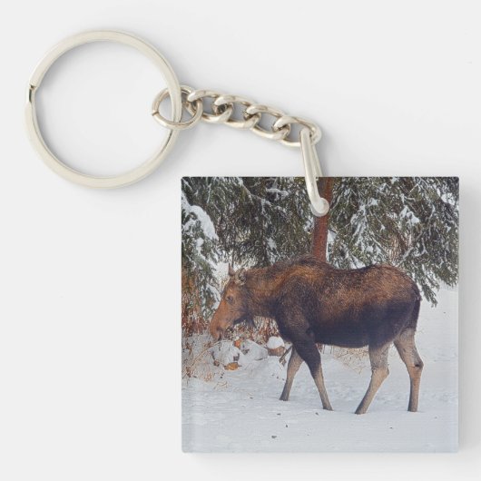 Wilde Canadese Moose Koe in Winter Snow V Sleutelhanger (voorkant)