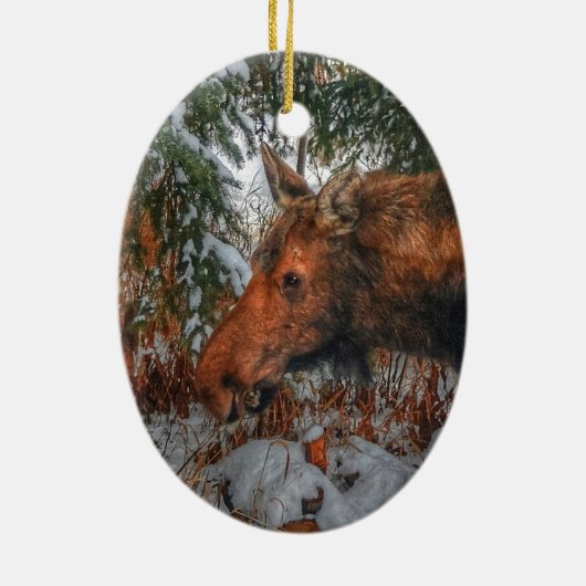 Wilde Canadese sans Grazing in het winterbos Keramisch Ornament (Achterkant)