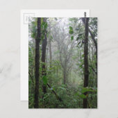 wilde costa rica briefkaart (Voorkant / Achterkant)