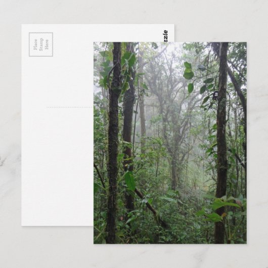 wilde costa rica briefkaart (Voorkant / Achterkant)