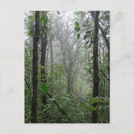 wilde costa rica briefkaart (Voorkant)