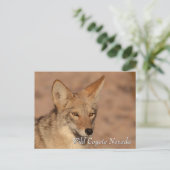 Wilde Coyote in de Nevada-woestijn Briefkaart (Staand voorkant)