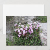 Wilde Cyclamen Feestdagenkaart (Voorkant / Achterkant)
