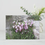 Wilde Cyclamen Feestdagenkaart (Staand voorkant)