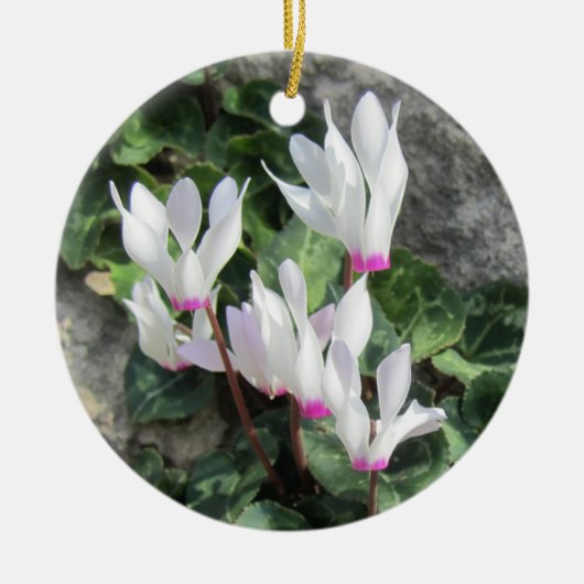 Wilde Cyclamen Keramisch Ornament (Voorkant)
