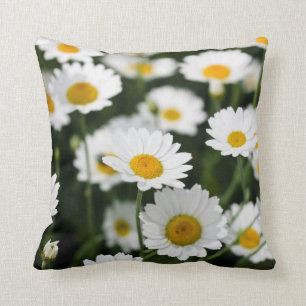 Wilde daisy bloemen sluiten dicht kussen