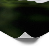 Wilde daisy bloemen sluiten dicht poster (Hoek)