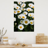 Wilde daisy bloemen sluiten dicht poster (Keuken)