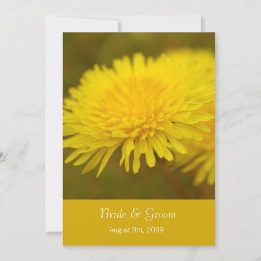 Wilde dandelion bloemen lente, zomer, bruiloft kaart (Achterkant)