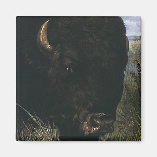 Wilde Dier, Buffalo of American Bison Magneet (Voorkant)