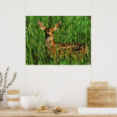 Wilde dieren 11 gepompt poster (Keuken)