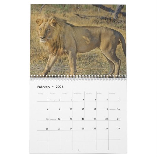 Wilde dieren 2023 kalender (Feb 2026)