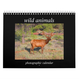 Wilde dieren 2025 kalender