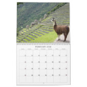 Wilde dieren 2025 kalender (Feb 2026)