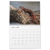 Wilde dieren 2026 kalender (Mar 2027)