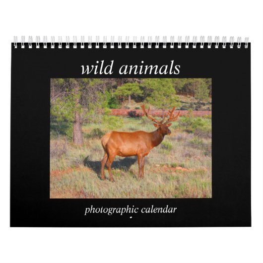 wilde dieren 2026 kalender (Hoes)